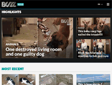 Tablet Screenshot of buzzvideos.com